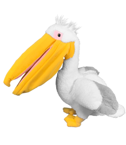 pelican