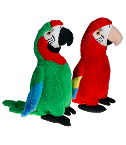 thumb_parrots