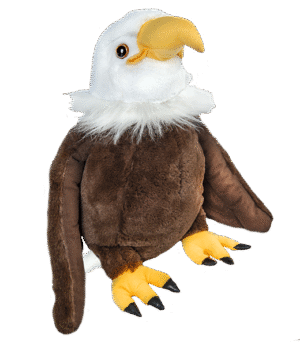 "Liberty" the Bald Eagle (16")