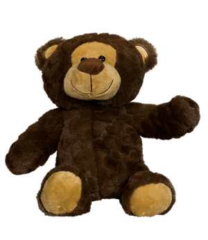 “Romeo” the Bear (16″)