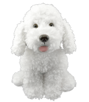 "Scruffles" the Dog (16")