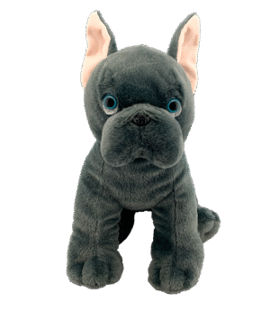 "Freddie" the Frenchie (16")