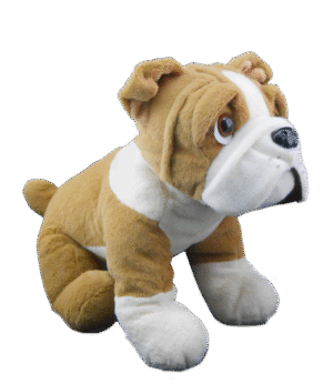 "Buddy" The Bulldog (16")