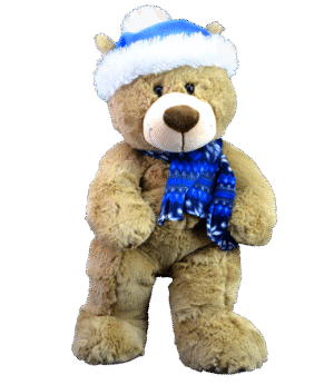 "Toboggan" the Teddy (16")